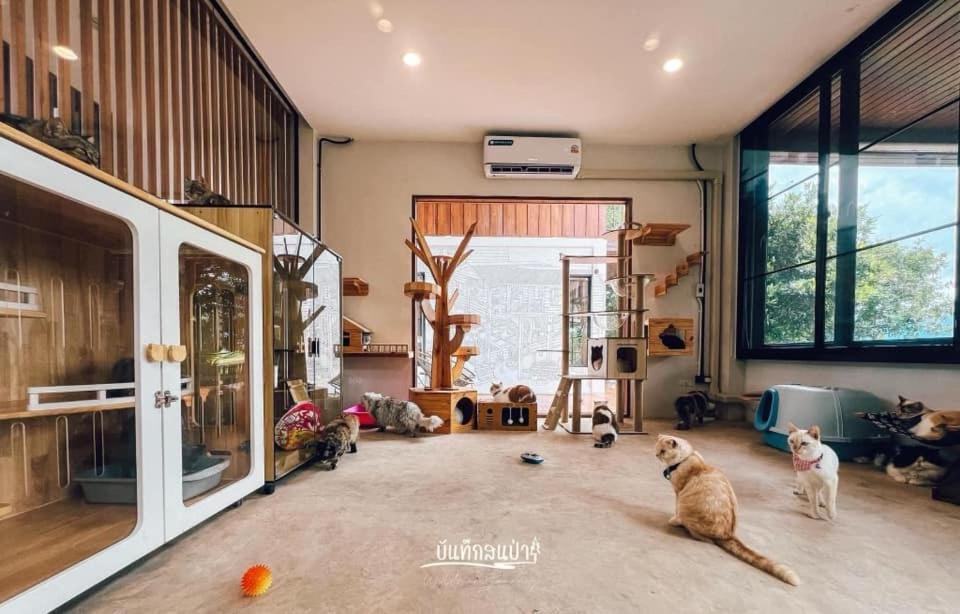 Amaze At Themyth Apartment Mae Rim Ngoại thất bức ảnh